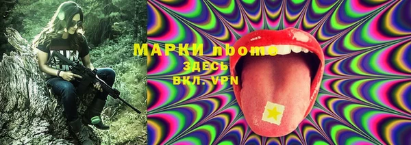 СК Бородино