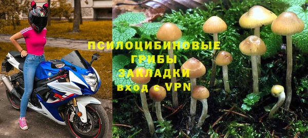 СК Бородино