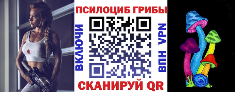 купить наркоту  Тосно  Псилоцибиновые грибы Cubensis 